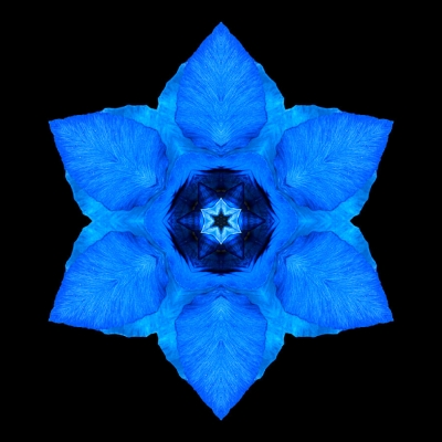 Silence (Blue Pansy II)