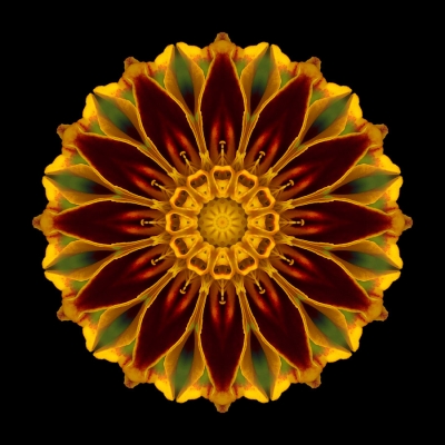 Balance (Deep Orange Marigold)
