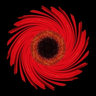 Change (Dying Amaryllis VII)