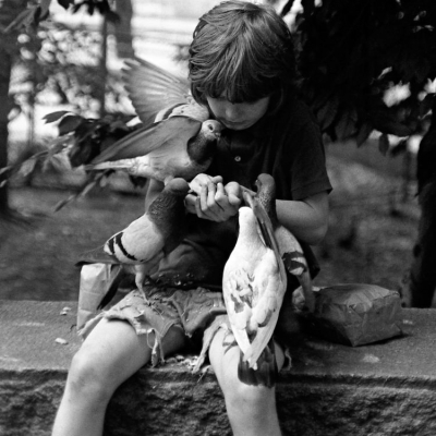 Feeding the Pigeons