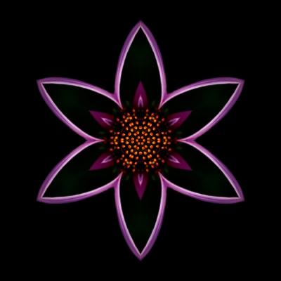 Perfection (Purple Echinacea I)