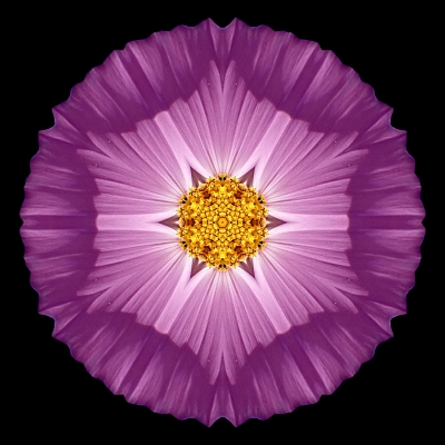 Justice (Violet Cosmos II)
