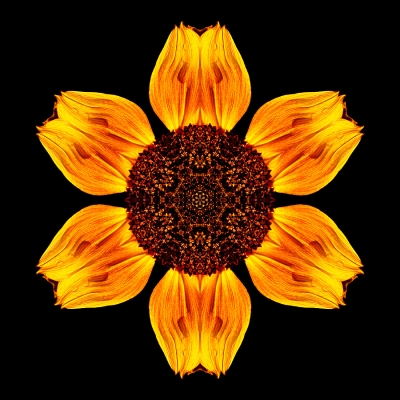 Desire (Yellow and Orange Sunflower V)