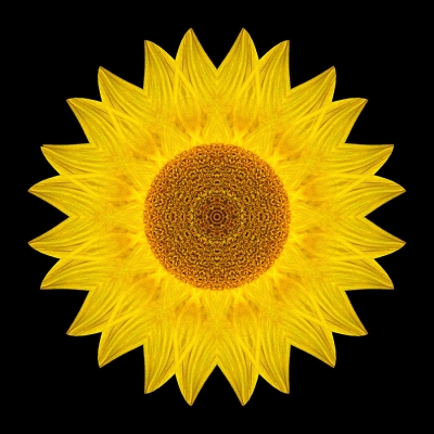 Awareness (Yellow Sunflower IX)